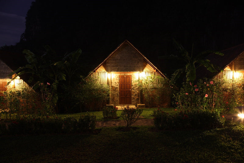 10 Great Outdoor Lighting Ideas for Your Backyard!
