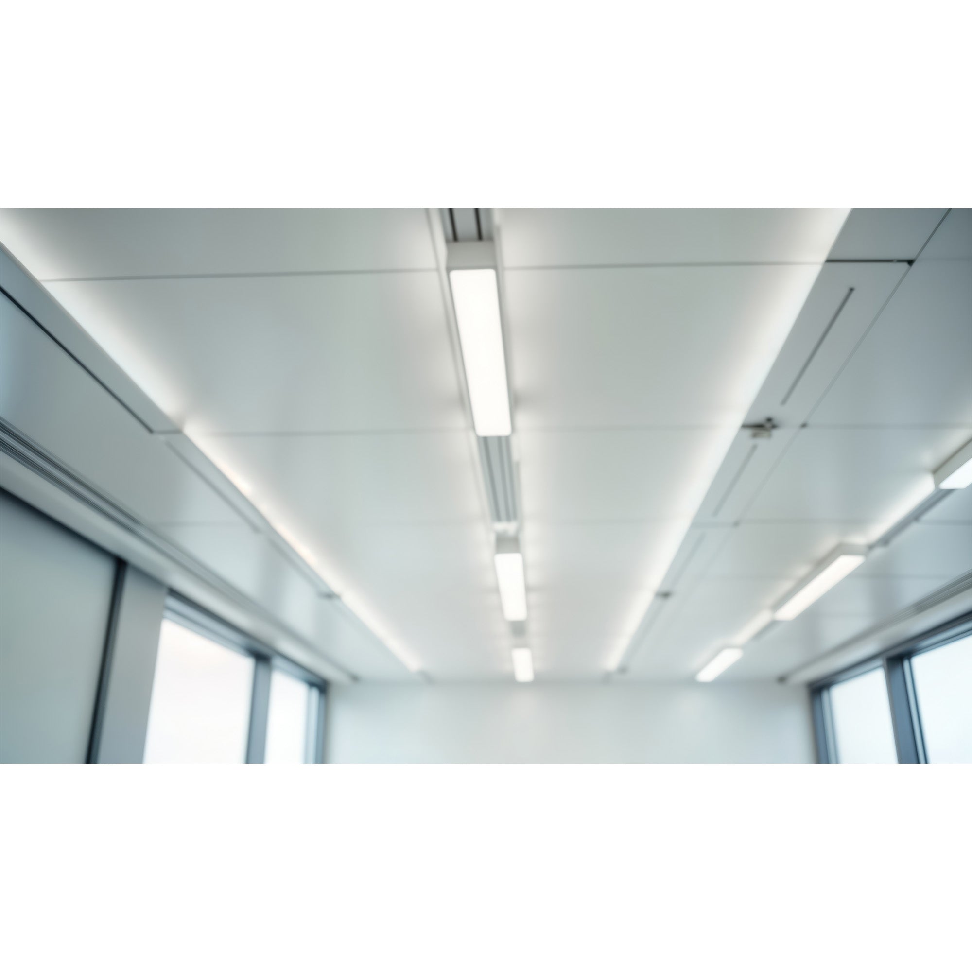 Sign Bulbs & LED Tube Lights