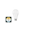 A19 9W LED Bulb - 800 Lumens - 5CCT (27/30/40/50/60K) 60W Equivalent Dimmable
