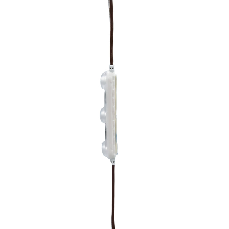One Colour Led Module Single Color LED Module Direct AC 110V - 1.5W - IP67 (Each Pack = 100